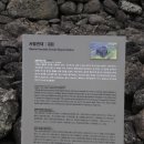 서림연대 이미지