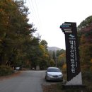 중앙레스파 이미지