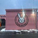 버니오토워시(고양향동점) 이미지