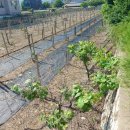 친한부동산공인중개사사무소 이미지