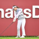 선두하우스 이미지