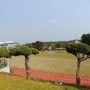 삼척중앙초등학교 이미지