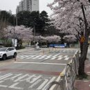 농산물품질관리원 앞 이미지