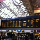 세븐피시 이미지