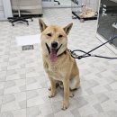 케이블카파크랜드 오토캠핑장 이미지