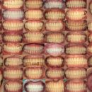 용치과기공소 이미지