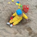 그랑디르 이미지