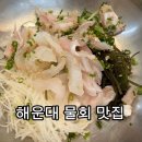 맛집 추천] 한어부의고등어사랑 활어 물회 17,000원! 소스 대박이고 밥이랑 면까지 주는 찐맛집 솔직후기