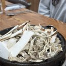 배우네생버섯 이미지