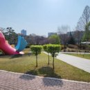 [서울 광진] 어린이대공원 실시간 개화현황 및 벚꽃스팟 추천