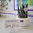 대전대신공인중개사사무소 이미지