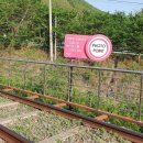 가평레일파크