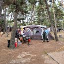 몽산포 야영장 이미지