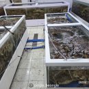 군산대게수산 이미지