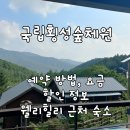 단양삼시세끼 | 둔내 웰리힐리 근처 가성비 가족 여행 숙소 횡성 숲체원 추천