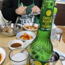 테라파시 이미지