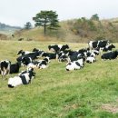 신우목장 이미지