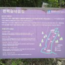 건천편백숲내음길 티스토리