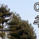 롯데힐24시불한증막사우나 이미지