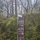 울주 대곡리 반구대 암각화 | 선사시대 암각화 울주 대곡리 「반구대 암각화」