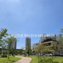 쌍용아파트 건너편 이미지
