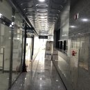 엠밸리서울치과의원 네이버블로그