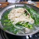 승리식당 | [영월] 승리식당｜영월서부시장 근처 시원한 복지리탕 후기(애견동반 식당)