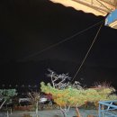 아침고요에스제이펜션2 | 청평펜션 아침고요수목원 인근의 애견동반 가능한 코지앤이지