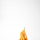 뉴멕시칸참숯바베큐 이미지