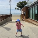 신두리세븐패밀리캠핑장 | 태안 키즈 캠핑장 추천, 신두리세븐패밀리캠핑장 2박3일 이용후기