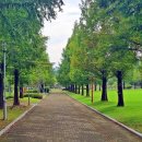 천안종합휴양관광지 이미지