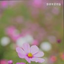 원광보은의집 이미지