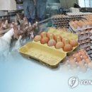정찬욱농장 연합뉴스