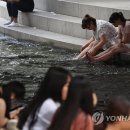 대서