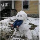 더마시쩡 이미지