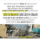 코뿔소내과의원 이미지