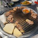 술도야지
