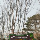 서외마을회관 이미지