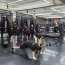 강화 용인대 복싱클럽 이미지