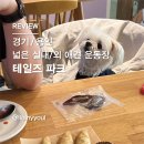 테일즈 파크 이미지