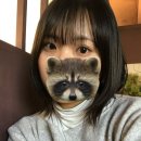 UR(강릉시)-[용지로]-하-20 | 니 감자는 무 봤나? 강릉에 가다