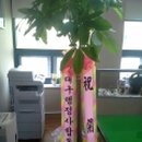 김덕수세무회계사무소 이미지