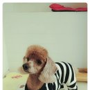 365 신원당 동물병원 이미지