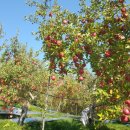 대행영농조합법인 이미지