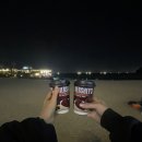 07. 드디어 일주일이 지났다.(feat. 함덕 맛집 흑곰)