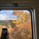 용궁순두부 이미지