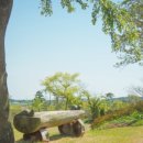 삼원레저타운 이미지