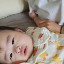 다올상점