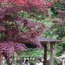 하늘펜션 이미지