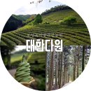 [보성가볼만한곳]대한다원 다녀온 후기(입장료, 입장시간, 관람코스,주차정보)
